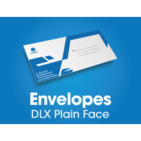 100 x DLX Plain Envelopes - full colour - 235x120mm